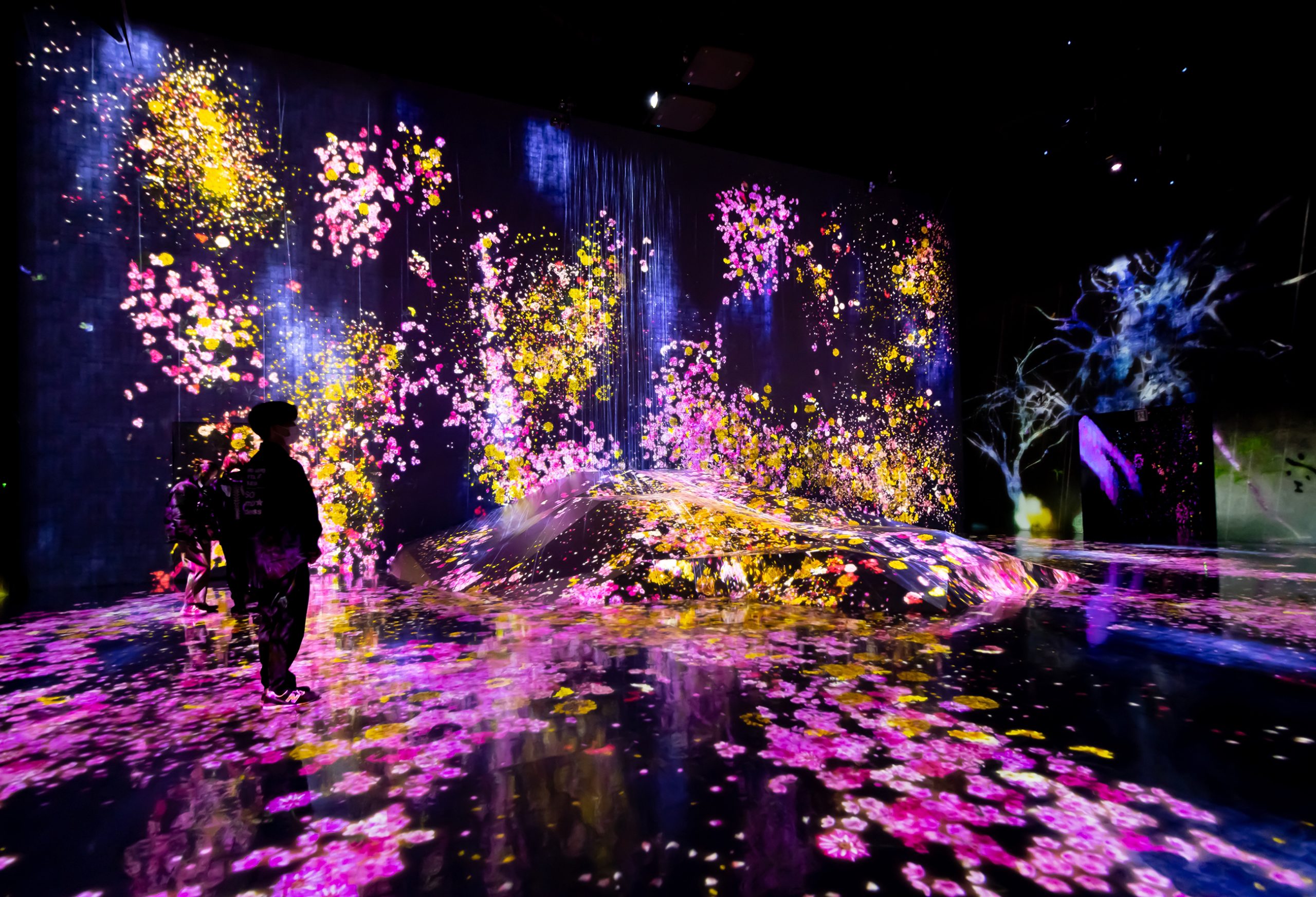 12 Immersive experiences and exhibits to see in NYC